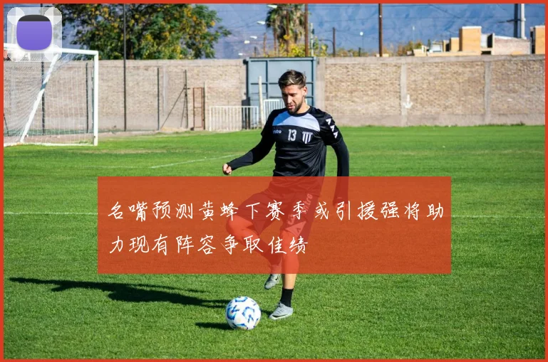 名嘴预测黄蜂下赛季或引援强将助力现有阵容争取佳绩