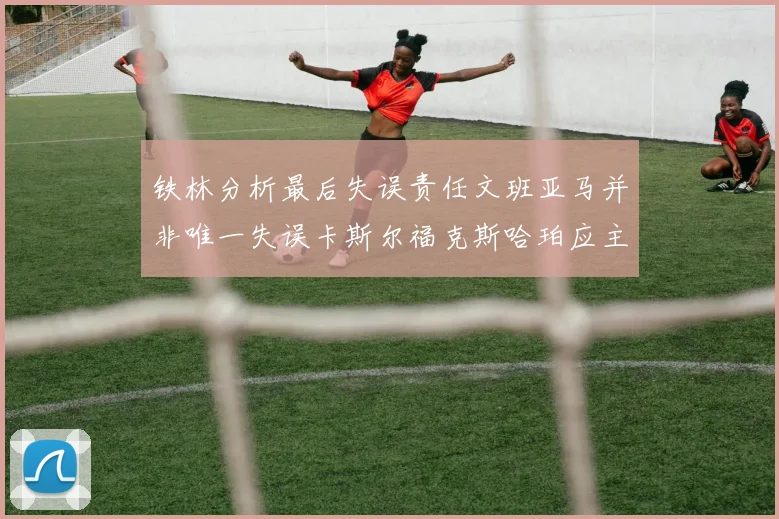 铁林分析最后失误责任文班亚马并非唯一失误卡斯尔福克斯哈珀应主动接球